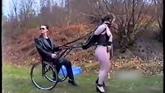 Ponygirl'Ler Bdsm Eğitimine Katlanıyor