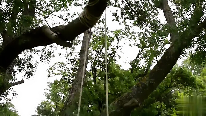 Dicke Möpse Und Dicke Titten Im Garten