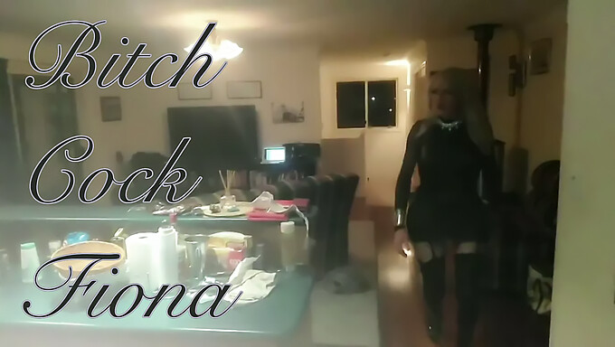 Sandy Y Fiona Se Turnan En Slut House Bj Con Una Gran Polla