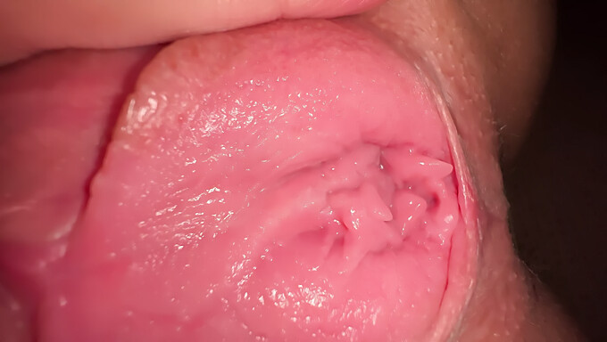 Real Teen Girl Fingers Herself To Orgasm In Close Up