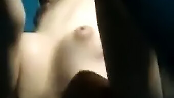 Blowjob Da...